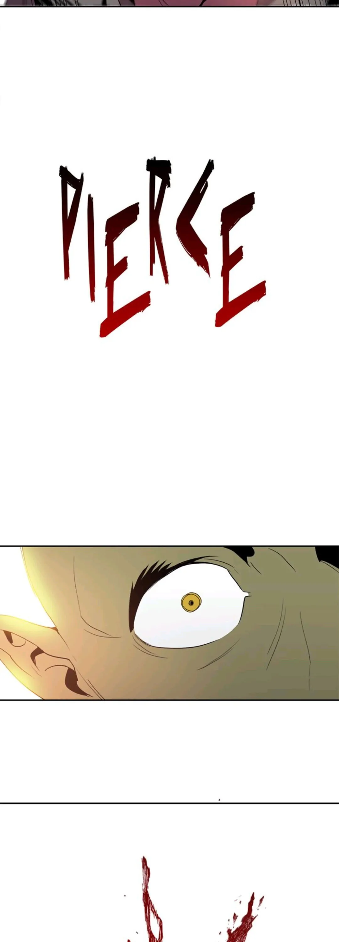 4893613 1080 3000 41206